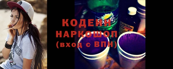 шишки Верхний Тагил