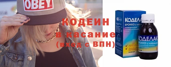 шишки Верхний Тагил