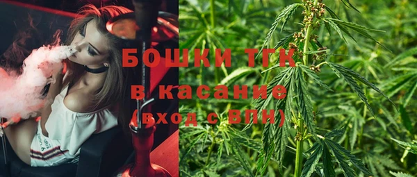 шишки Верхний Тагил