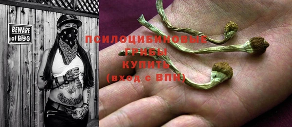 шишки Верхний Тагил