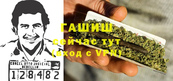 шишки Верхний Тагил