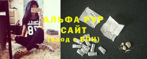 шишки Верхний Тагил