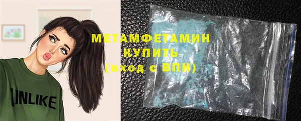 шишки Верхний Тагил
