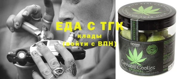 шишки Верхний Тагил